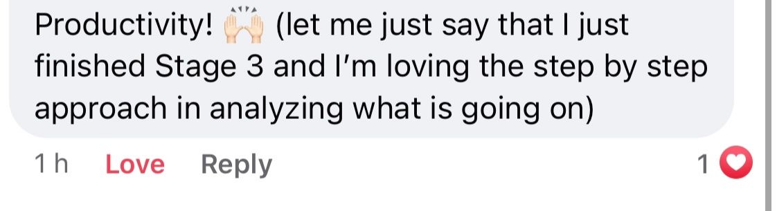 Original customer testimonial: Productivity! I just finished Stage 3 and I’m loving the step-by-step approach in analysing what is going on.
